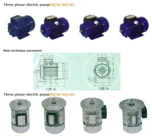 China Three phase electric pumpYS(56-90) B3 factory