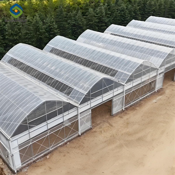 China OEM  Commercial Polycarbonate Greenhouse Kits Single Span Greenhouse Vegetable Seeding factory