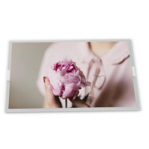 7.0-Inch WLED TFT LCD Display Module LMS700KF23 with 800*480 Resolution Custom