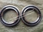 NSK High Precision ，Machine Toll Spindle Bearing 100BAX10TYNDBLP4
