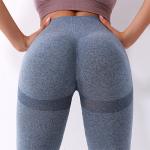 Anti Cellulite High Waisted Gym Leggings Seamless Quick Dry