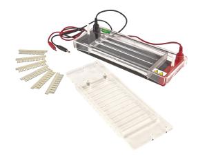 China JY-SP3 Horizontal Electrophoresis System Horizontal Electrophoresis Cell factory