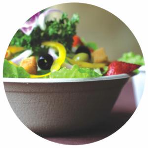 China BAGASSE BIO-DEGRADABLE BOWL, HOT AND COLD FOOD, WITH COLVER/LID, SUITABLE FOR HOLDING SALAD, HOT SOUP, RICE, ICE CREAM factory
