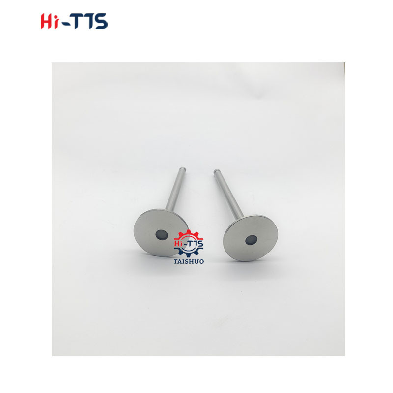 Diesel Engine Valve S4D102 S6D102 Intake and Exhaust Valve 6732-41-4210 6732-41-4110