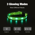 Abs Usb Led Dog Collar Lead Collar For Dogs with Water Resistant Flashing Light
