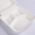 Eco Friendly Sugarcane Bagasse Clamshell Biodegradable Take Away Food Packaging