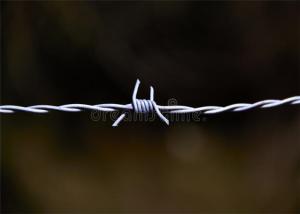 China Fences for farm barbed wire type protect animals sucurity fence factory