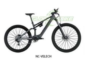 China 250W Motor 25km/H High Speed 29 Inch Carbon Fiber Lightweight Mountain E-Rider factory