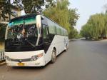 White Color Used Yutong Buses 47 Seats 2013 Year Diesel Yutong Bus Good