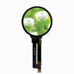 1.28 Inch IPS TFT Round LCD Displays Module For Smart Watch