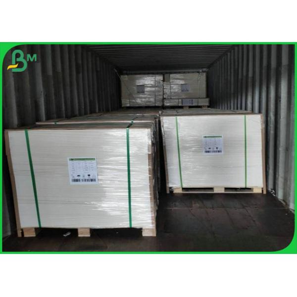 Waterproof 190g 210g Cardboard Cup Paper Foodgrade For Paper Cup Raw Material 
