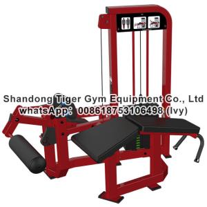 China Single Station Gym fitness equipment machine Prone leg Curl exercise machine factory