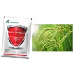 OEM Biological Pesticide BT Bacillus Thuringiensis Squash Vine Borer