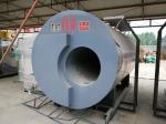 Single Cylinder Low Pressure 1.6MPa Biomass Fired Steam Boiler