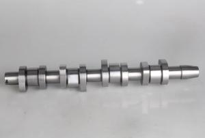 China High Performance Diesel Engine Camshaft 1010063SX AUDI Engine Parts factory