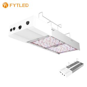 China T828 800W 0-10V Dimmable LED Grow Light 5 Years Warranty For Agrotech factory