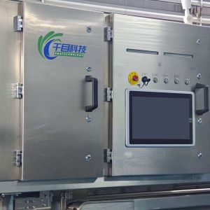 China Dehydrated Sweet Potato Cube Sorting System Identification and Advanced Imaging Sorting Solution factory