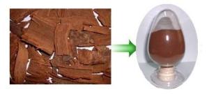 China pygeum africanum extract phytosterols factory