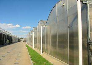 China Flower Large Polycarbonate Greenhouse Strong Thermal Insulation Sides Ventilation factory