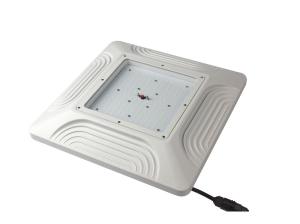 China Recessed Mounted 100W LED Gas Station Canopy Lamp, IP65, Meanwell driver LEDs factory