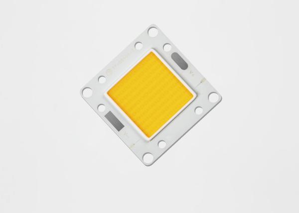 50W 200lm/W High Power Cob Led Bridgelux High Voltage Or Low Voltage DC