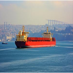 China International Sea Freight Shipping Agent Lcl Fcl From China To Osaka Port factory