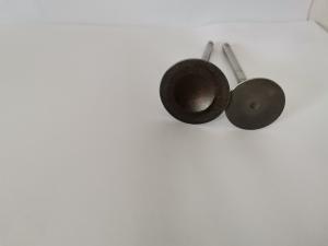 China 4221ECB Automotive Engine Exhaust Valves , AUDI / VW Engine Valve factory