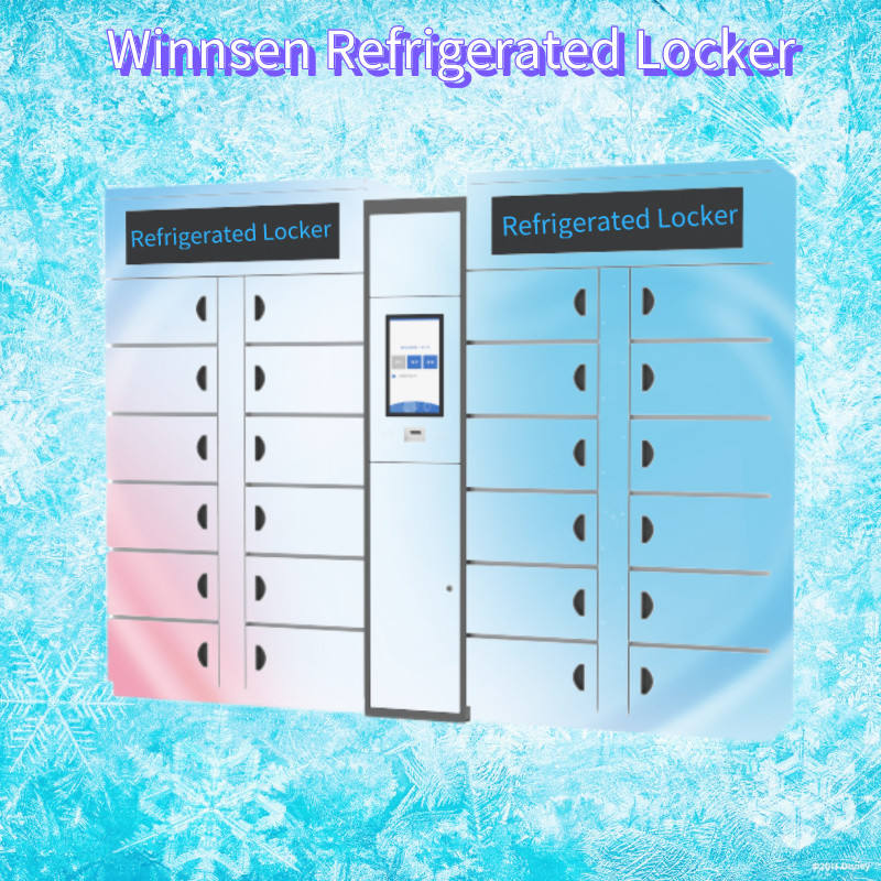 Smart Vegetable Refrigerated Locker Electronic Cabinet Cold Rolled Steel