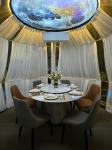 PC Steel Structure Bubble Geodesic Moveable Dome Tent Green House Outdoor