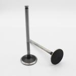 65.04101-0041 65.04101-0042 Diesel Engine Valve D1146 Intake Exhaust Valve For