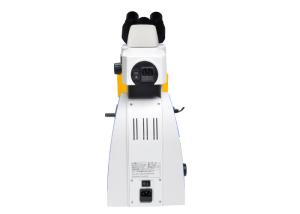 China UY202i-LED Upright Fluorescence Microscope with UV &amp; V Fluorescence Filter factory