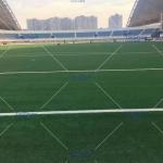 60mm FIFA Certified Football Artificial Turf For outdoors sports Fields With
