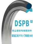 DSPB Dust Seal