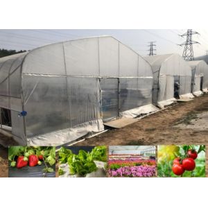 Easy Assembled Waterproof PE Film Prefabricated Single Span Tunnel Greenhouse