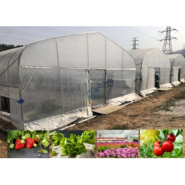 Easy Assembled Waterproof PE Film Prefabricated Single Span Tunnel Greenhouse