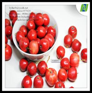 China hawthorn leaf extract powder 90% factory