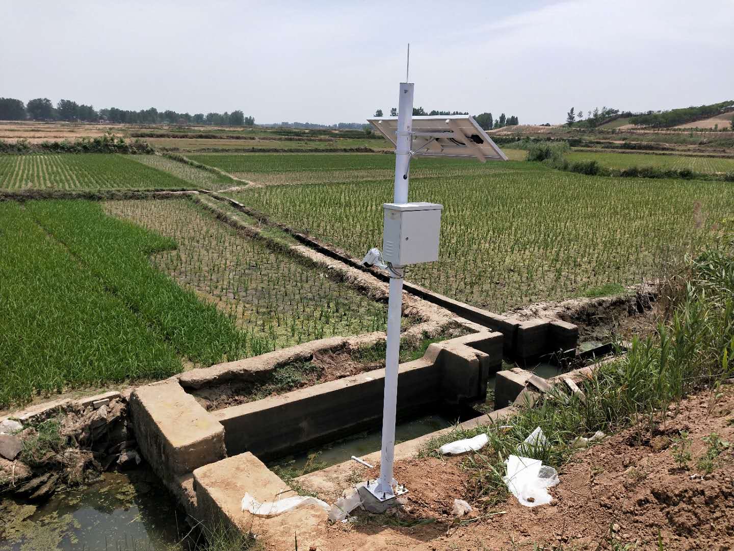 Aquaculture Multifunction Water Quality Monitor System With Smart Wireless Iot Sensor