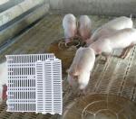 Farming PSF-01 Goat Plastic Slat Floor Poultry Goat 700mm