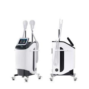 China 220V Leg Body Slimming Machine Sculpture Weight Loss Ems Muscle Stimulator Weight factory