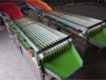 small potato grading machine,cherry tomato sorting machine,cherry tomato