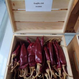 China Spicy Dried Chile Guajillo Moisture 8%-12% With Fruity And Smoky 10-15cm factory