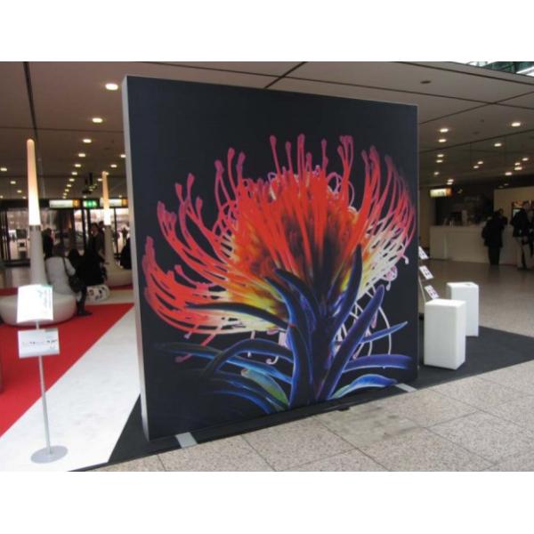 China Crystal Acrylic Photography Custom Light Box Display Panel Light Box 50HZ / 60HZ factory