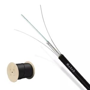 China Outdoor GYXTW 12 Core G652D Light Armored Fiber Optic Cable With Central Loose Tube Structure factory