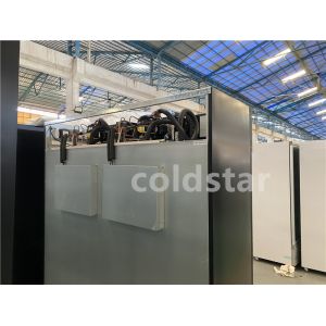 450L Vertical Display Freezer With Glass Door