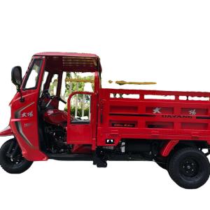 China DAYANG Motorized Cargo Trike 201 250CC Three Wheel Engine Tricycle for Heavy Loading factory