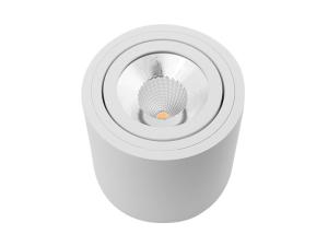 China Surface Round Mounted COB Commercial Lighting Fixture SEC-L-DL121 factory