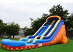 Summer 18 Foot Giant Inflatable Slide 9Mx 3M X 5M 3 Years Warrenty