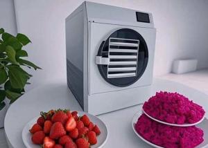 China 15KG 20kg Home Commercial Freeze Dry Machine For Long Term Food Preservatio factory