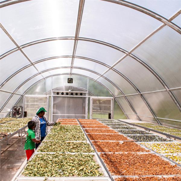 Solar Dryer Polytunnel Agricultural Greenhouse Drying Greenhouse With PC Board