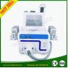 Buy cheap 2017 Hottest fat freezing liposuction machine from wholesalers